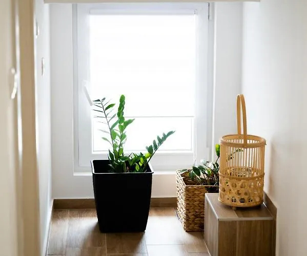 Apartmant Treasure Apartment